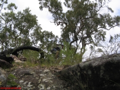 20070114-Coba 225 